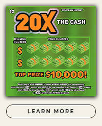 20X The Cash - WI Lottery Scratch Game