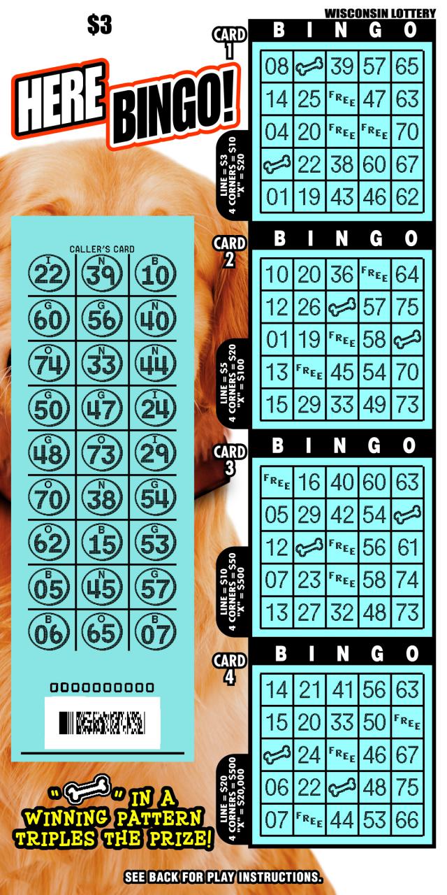 Here Bingo instant scratch ticket from Wisconsin Lottery - unscratched