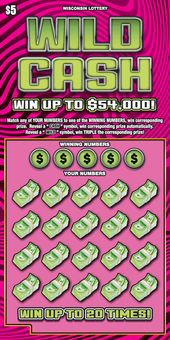 hot pink and magenta animal print stripes with green stacks of cash on Wisconsin Lottery game