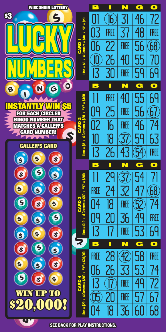 LUCKY NUMBERS BINGO (2428)