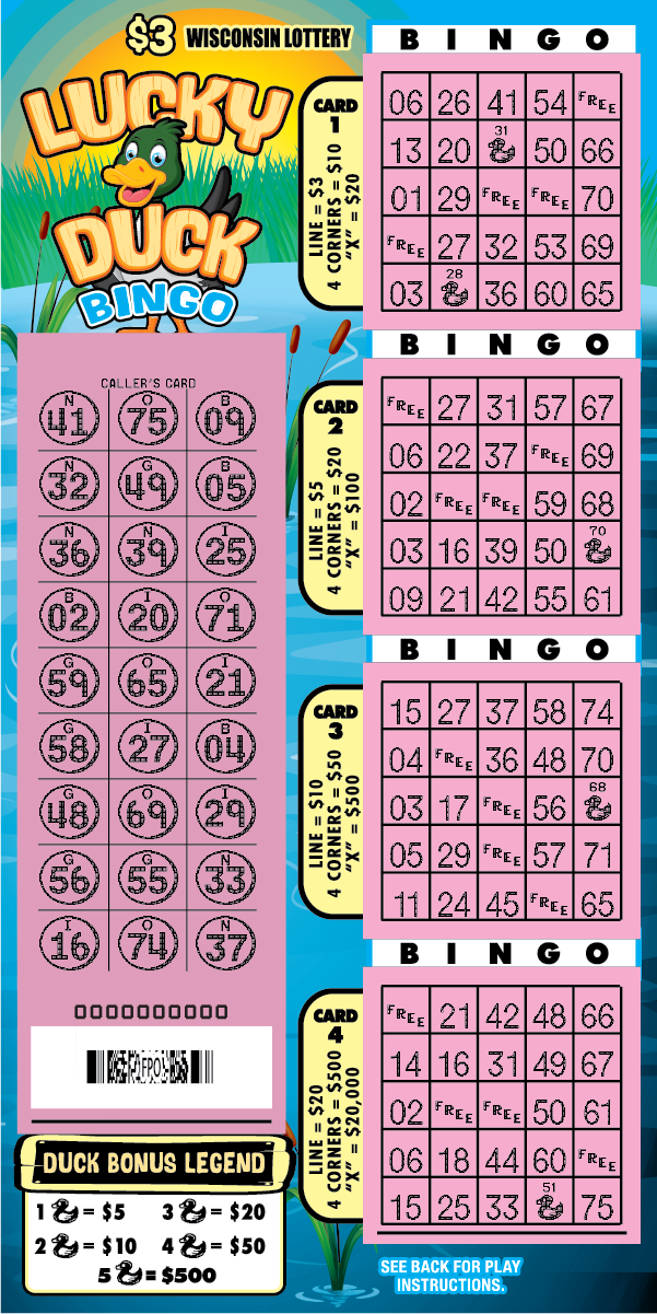 Wisconsin Scratch Game, Lucky Duck Bingo blue pond background with a duck and yellow and blue text, scratched.